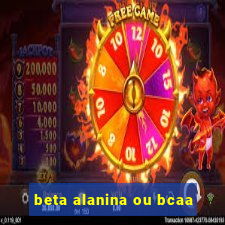 beta alanina ou bcaa